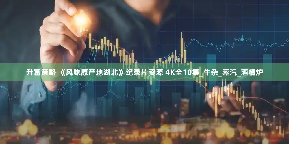升富策略 《风味原产地湖北》纪录片资源 4K全10集_牛杂_蒸汽_酒精炉