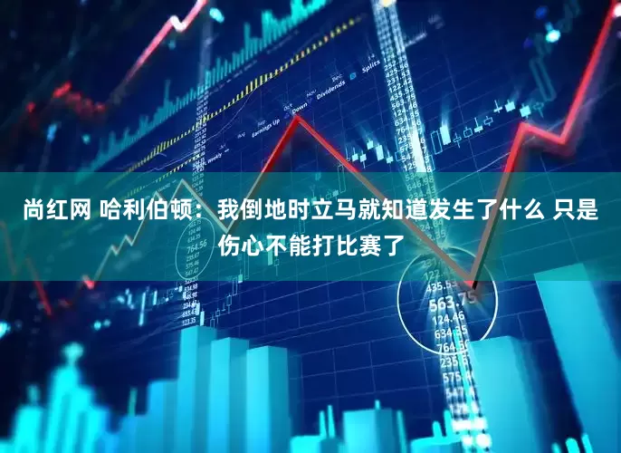 尚红网 哈利伯顿：我倒地时立马就知道发生了什么 只是伤心不能打比赛了