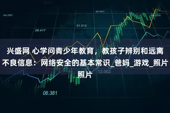 兴盛网 心学问青少年教育，教孩子辨别和远离不良信息：网络安全的基本常识_爸妈_游戏_照片